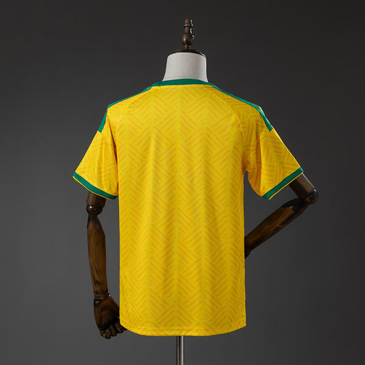 Camiseta Sudáfrica 2026 Local - Vista posterior
