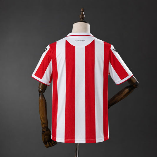 Camiseta Stoke City 26/27 Local - Vista posterior