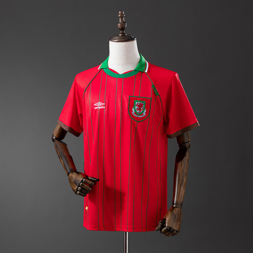 Camiseta Gales 94/96 Local Retro - Vista frontal