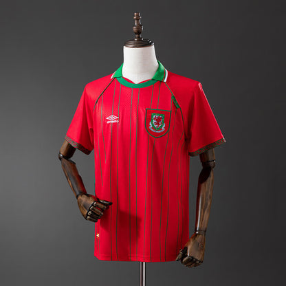 Camiseta Gales 94/96 Local Retro - Vista frontal