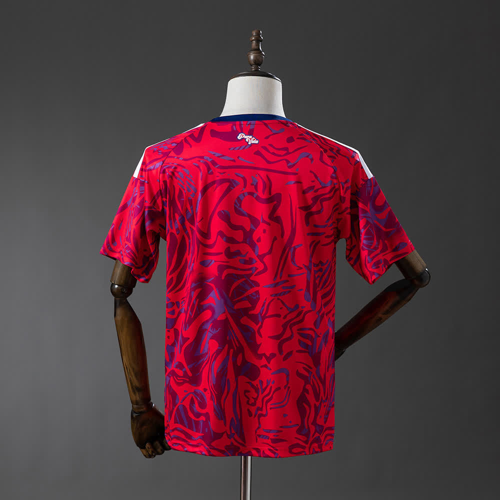Camiseta Costa Rica 2026 Local - Vista posterior