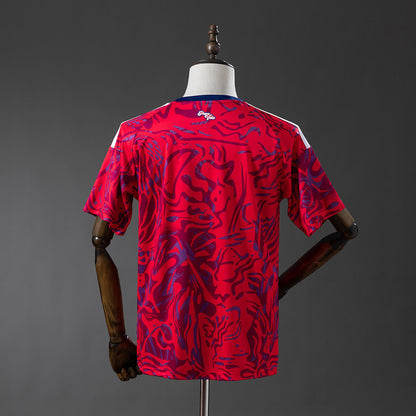 Camiseta Costa Rica 2026 Local - Vista posterior