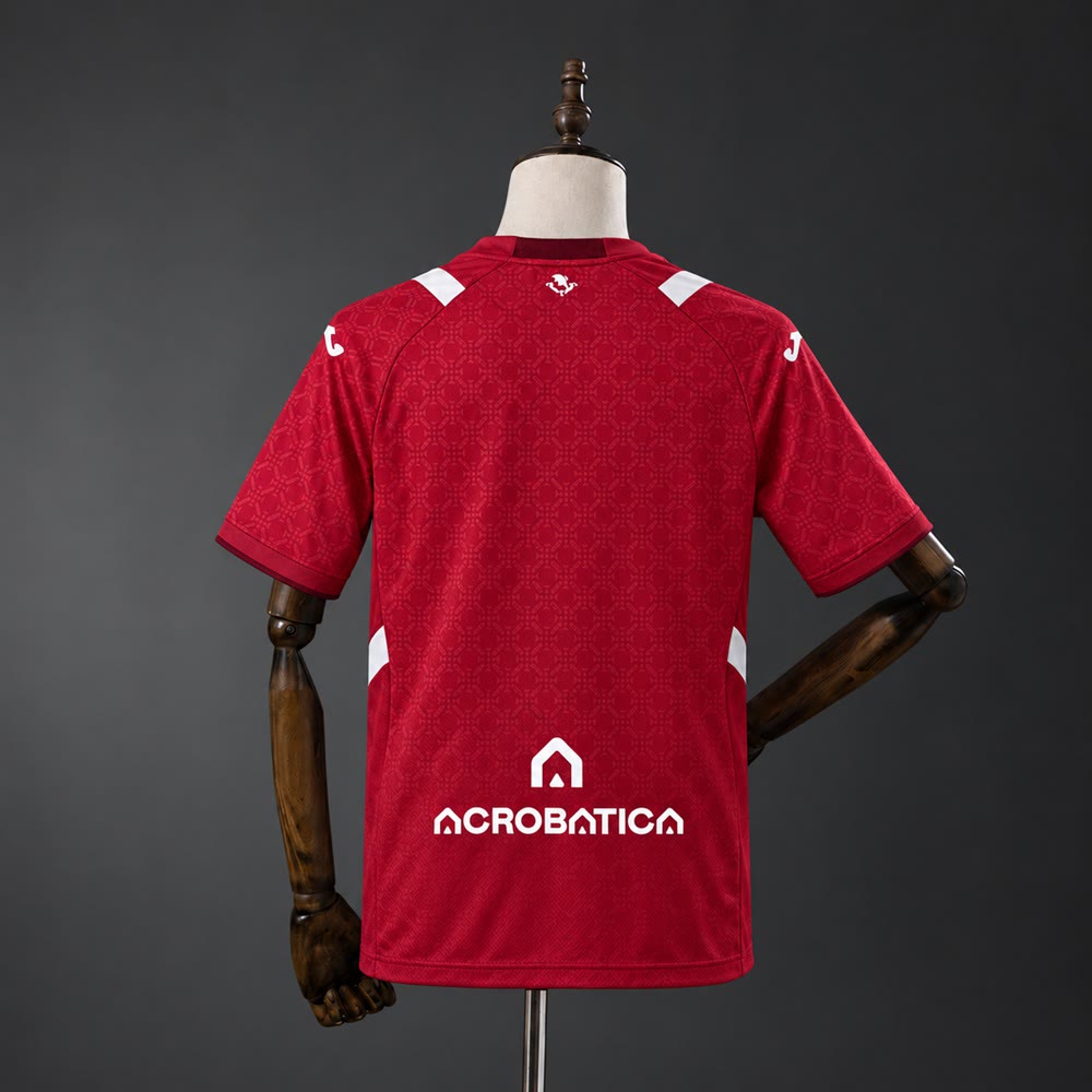Camiseta Torino 26/27 Local - Vista posterior
