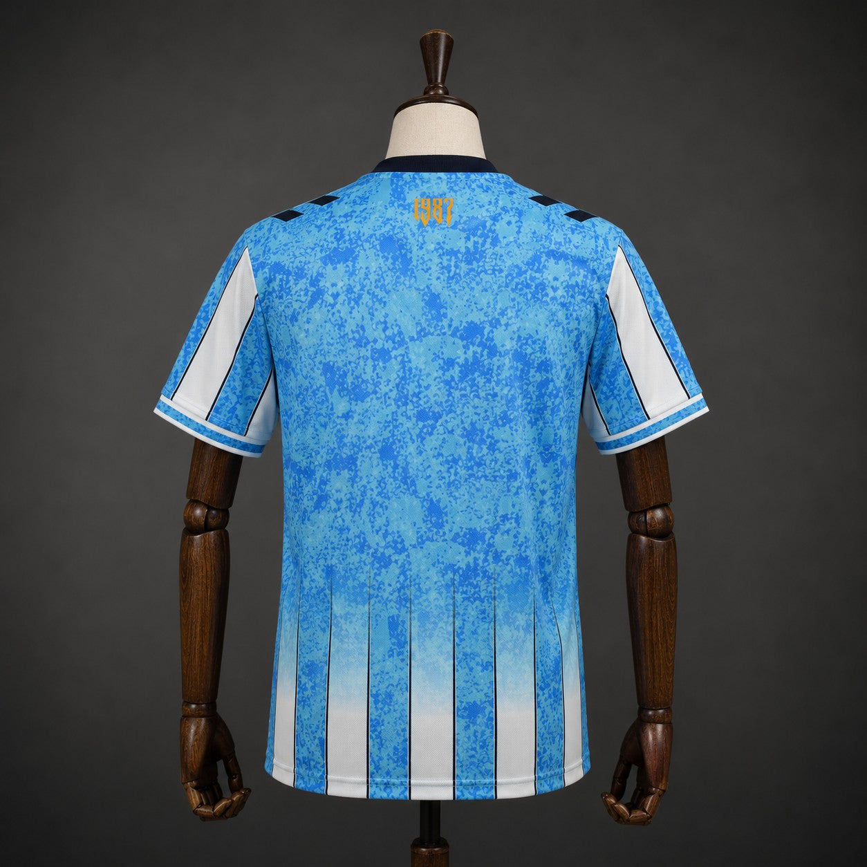 Camiseta Coventry City 26/27 Local - Vista posterior